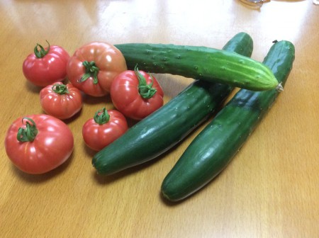 採れたて野菜