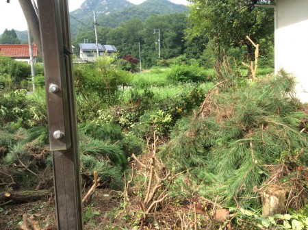 田舎暮らしの始まりは伐採から