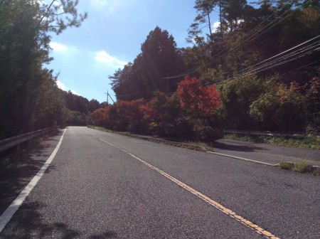 佐伯方面から松が原へ向けて42号線を行く途中、紅葉している山合いの路！