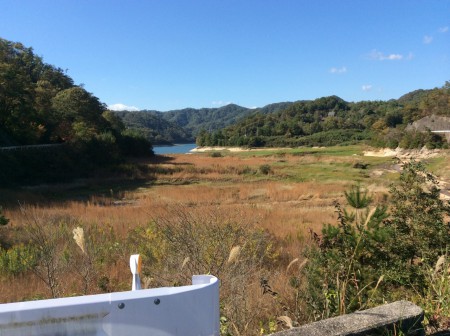 レイクサイドの大野観察の森側から流れて来る川の干潟辺りですね！