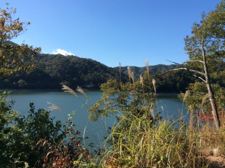 紅葉して来ている、近くのレイクサイド風景