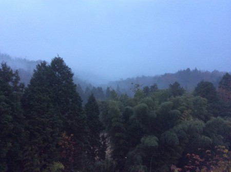 11月17日の霧雨の風景を眺望した所、山水画の兆しかな？