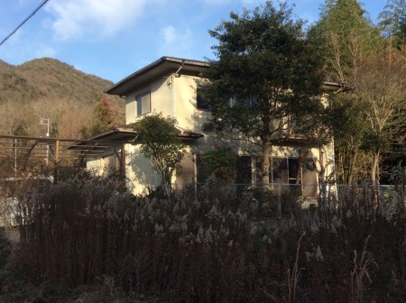 夕陽を浴びて少し様になって来たかな？