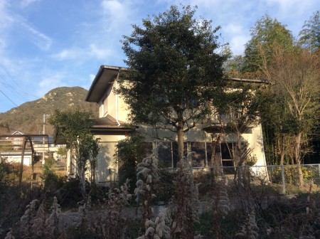 26年12月27日撮影かなり庭木の伐採で家全体が見えて来て夕陽を浴びて感じ良くなってきました、